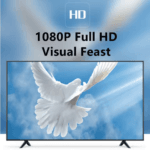 Helder en kleurrijk 1080p Full HD beeld van een duif op een televisie