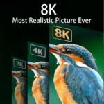Vergelijking van beeldkwaliteit tussen 2K, 4K en 8K resoluties aan de hand van een gedetailleerde foto van een vogel.